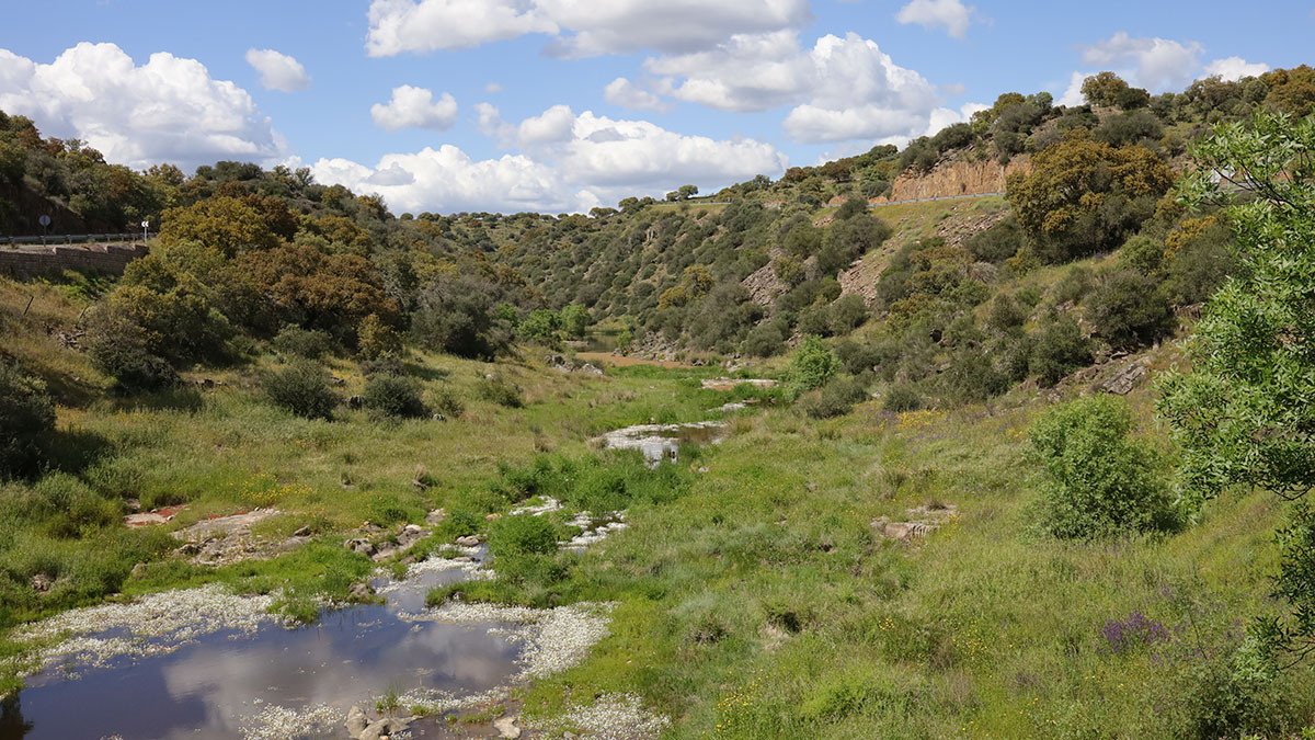 Rio Tamuja - Extremadura